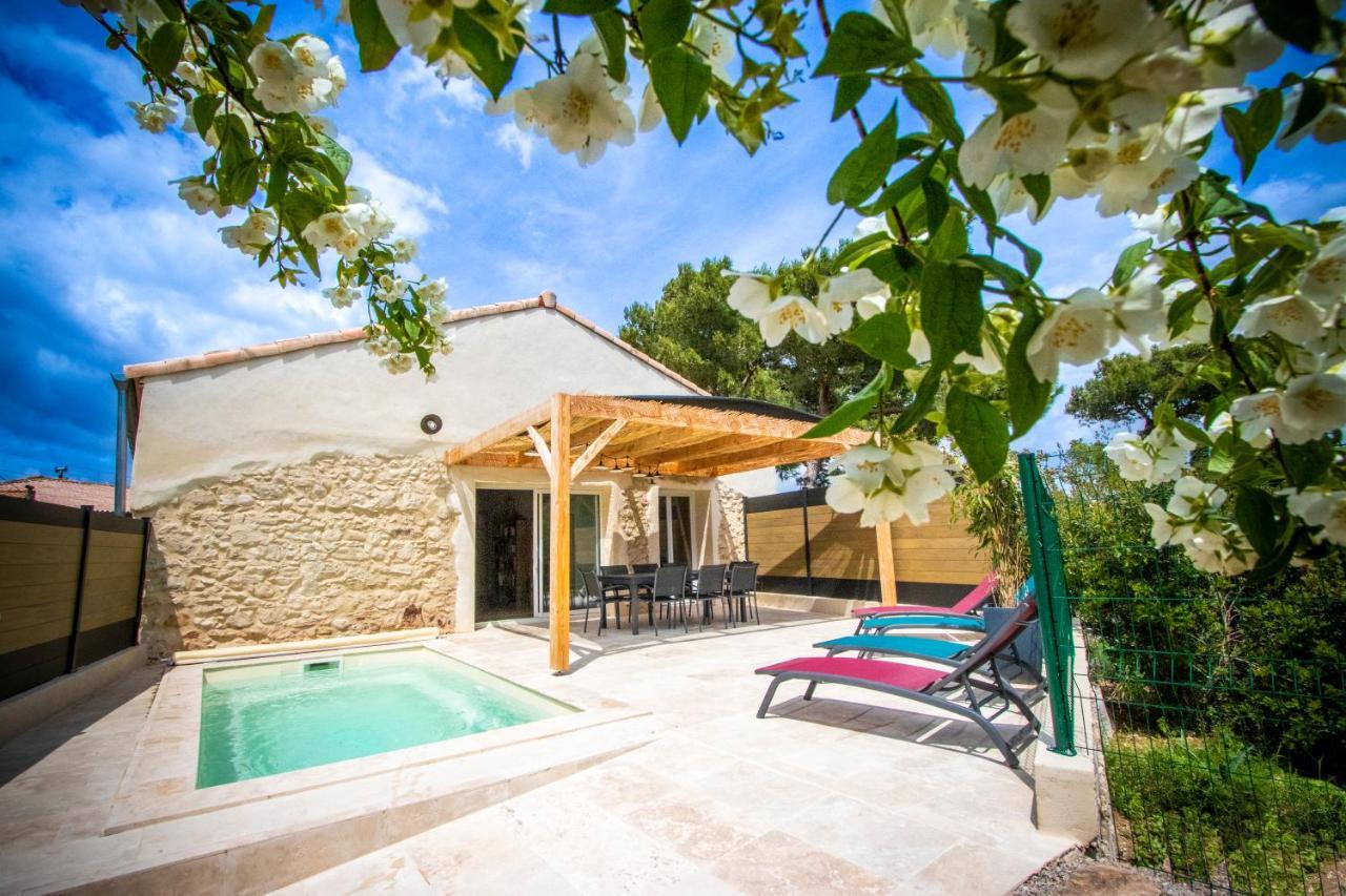 Gite Du Montagut Thezan-des-Corbieres Exteriér fotografie